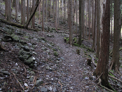 20151116hike (204)